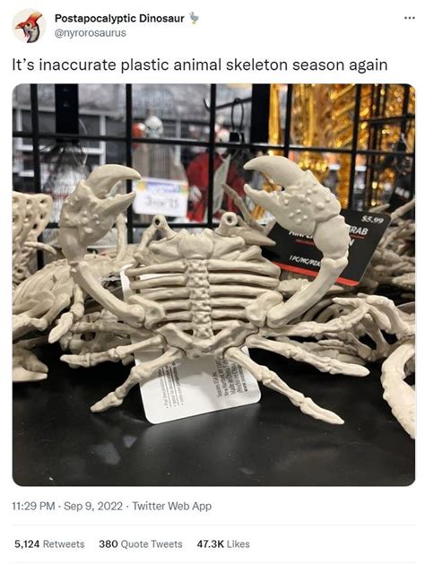 maximizing final breath in the bone market : r/fallenlondon .